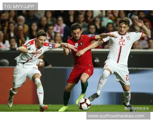 斯洛文尼与波兰激战在即谁将赢得这场精彩对决