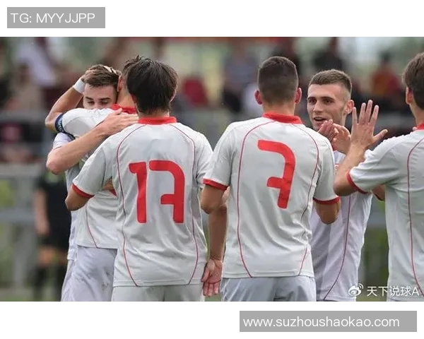 捷克与巴西友谊赛精彩对决展现足球魅力与友谊精神