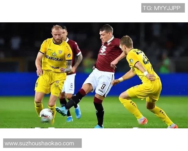 赫尔辛基与巴特历史交锋战绩分析及近期表现对比