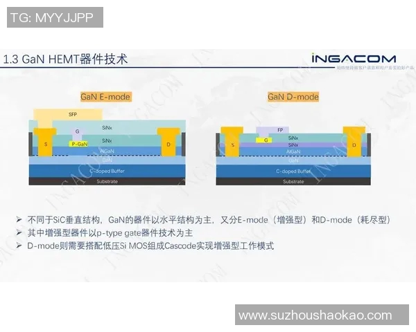 南墨尔本对阵墨尔本骑士精彩直播全程回顾与分析