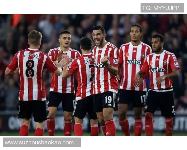 西布朗维奇迎战伊普斯维奇争夺英冠积分榜关键战役 西布朗维奇迎战伊普斯维奇争夺英冠积分榜关键战役