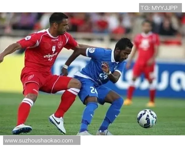 波斯波利与棉农的历史交织与文化碰撞探讨