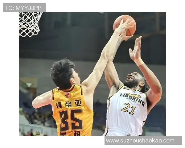 辽宁队与深圳队激战正酣17cba赛季精彩对决引发球迷热议