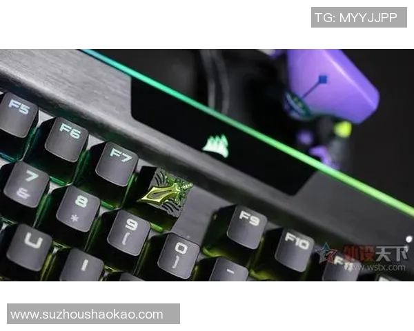 DOTA2装备选购指南:如何选择适合你的游戏键盘推荐 DOTA2装备选购指南:如何选择适合你的游戏键盘推荐