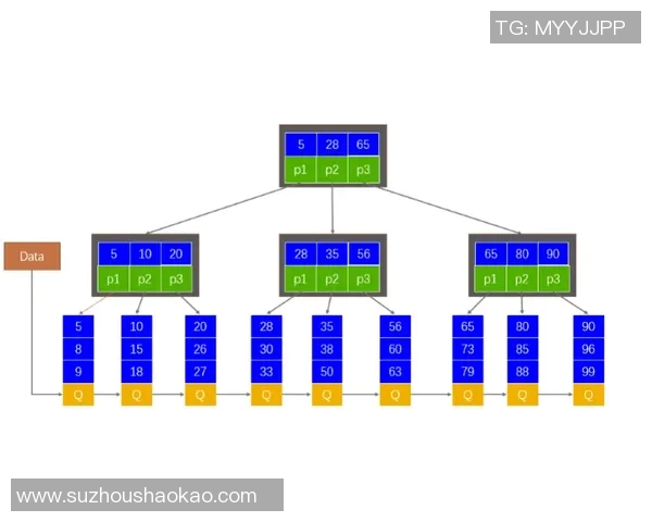 南京飞盘队战术表现深度数据分析与战术优化探讨 南京飞盘队战术表现深度数据分析与战术优化探讨