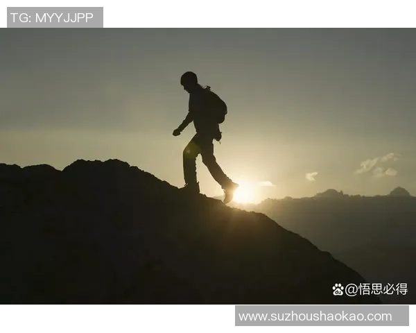 攀岩人生的高峰对话陈丽分享她的挑战与梦想