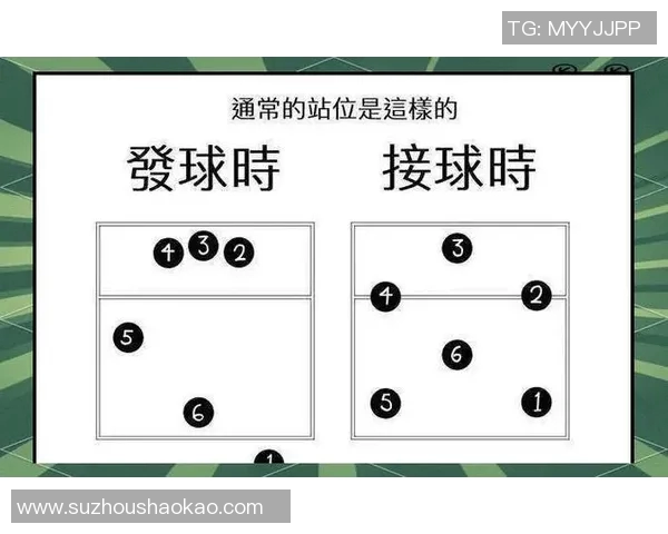 深圳排球队的节奏体系与排球战术的深度解析与应用研究