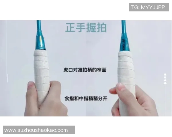 王丽独家揭秘羽毛球技巧与心得分享助你提升球技的秘密宝典