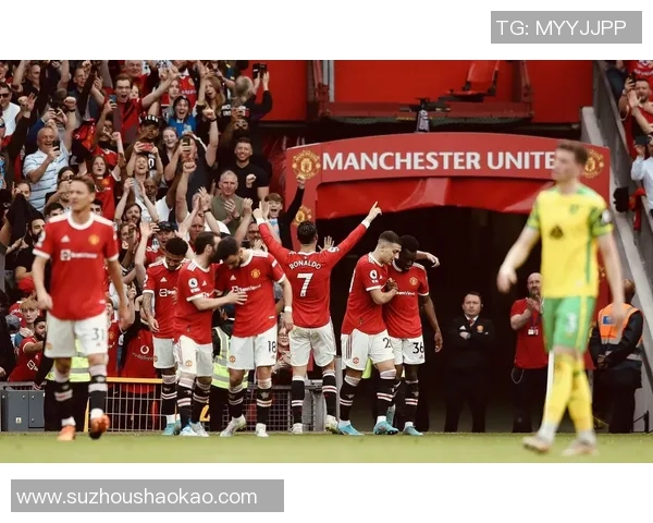 诺维奇对曼联精彩对决视频直播全程回放与赛后分析