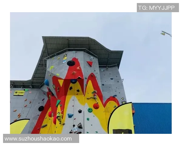 北京攀岩队节奏表现的数据分析与训练策略探讨MBA