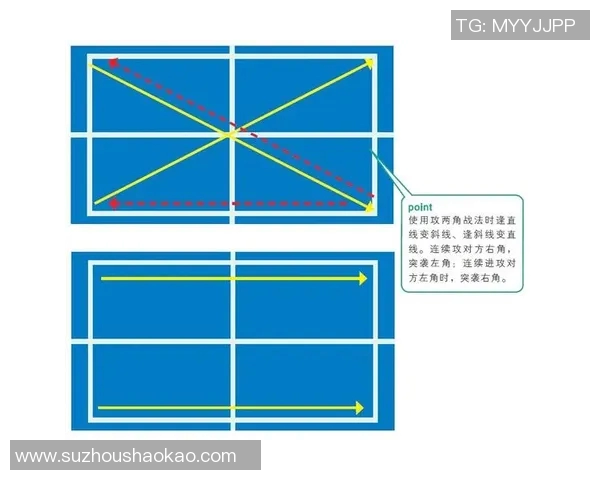 南京乒乓球队战术解析：深入探讨盯防体系的运用与效果
