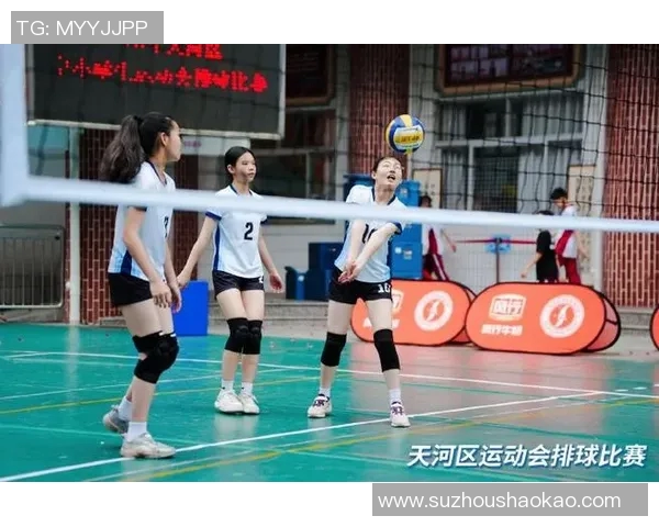 广州排球队转型之路揭秘大师赛特别报道展现新风貌与挑战