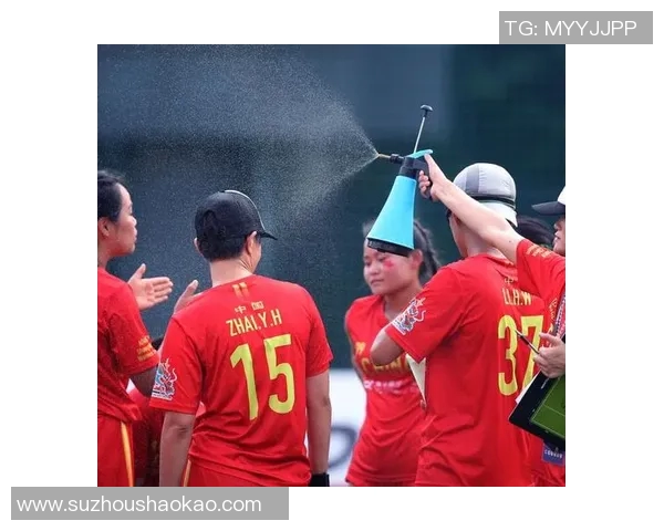 成都飞盘队反击战术解析与实战应用探讨